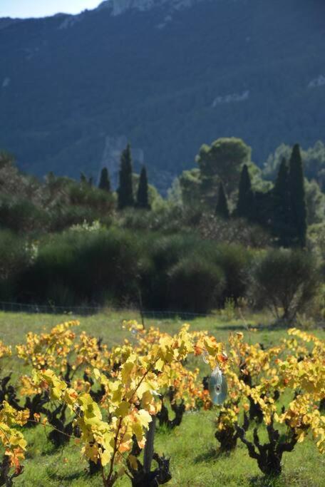 Villa Vilata A Padern Dans Les Corbieres Sauvages Zewnętrze zdjęcie